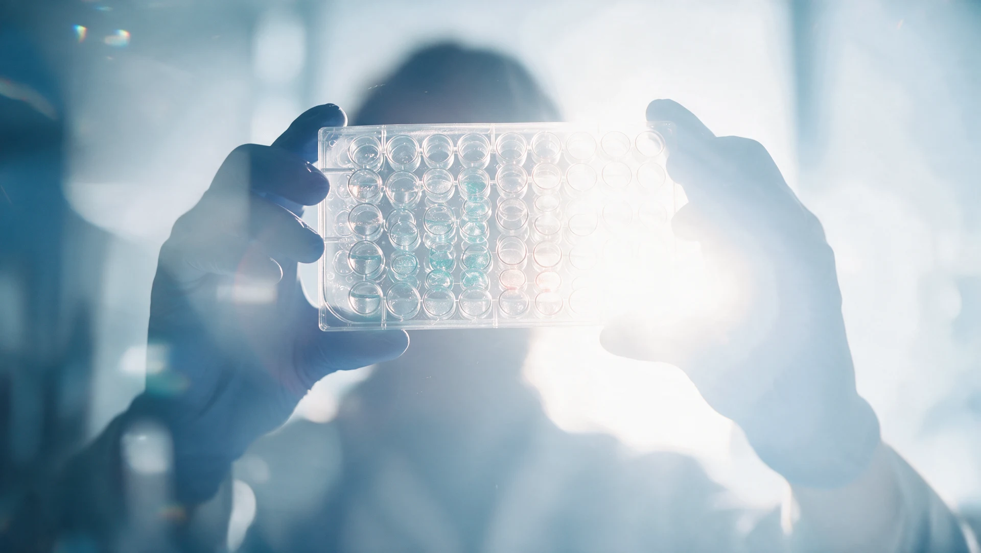 Conceptual research visual of an assay plate held towards the light