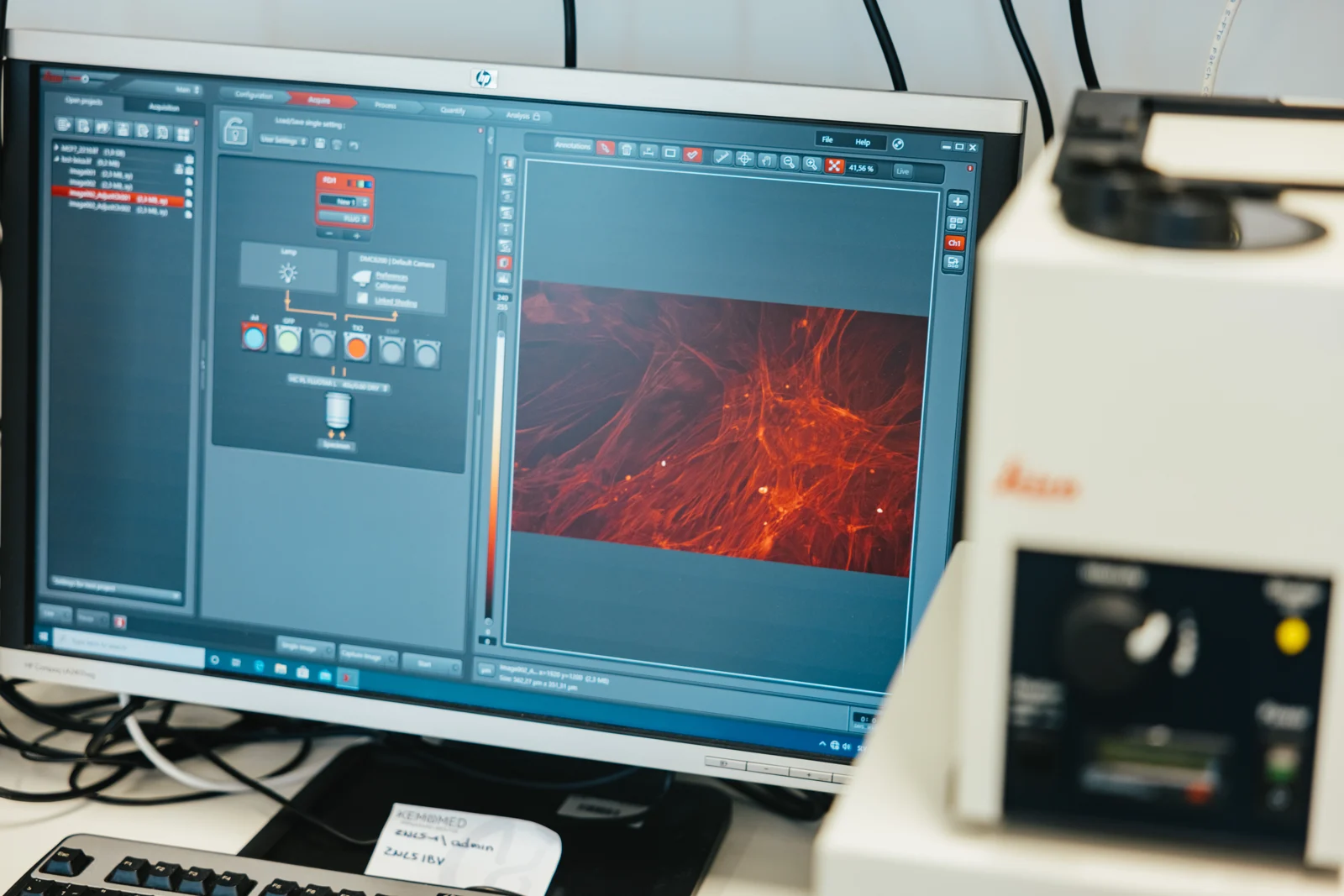 Fluorescence image of cells on a laboratory workstation