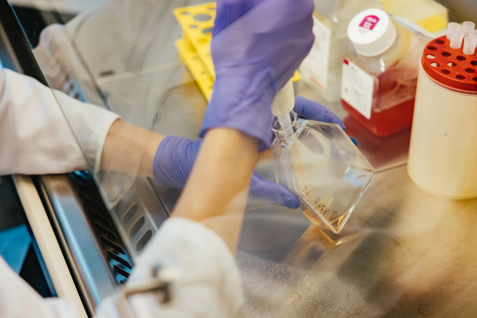 Clinical study MEL-ECS-P01 with the Institute of Oncology Ljubljana