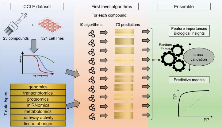 De Landtsheer S, Badkas A, Kulms D, Sauter T. Model ensembling as a tool to form interpretable multi-omic predictors of cancer pharmacosensitivity. Briefings in Bioinformatics, 2024.