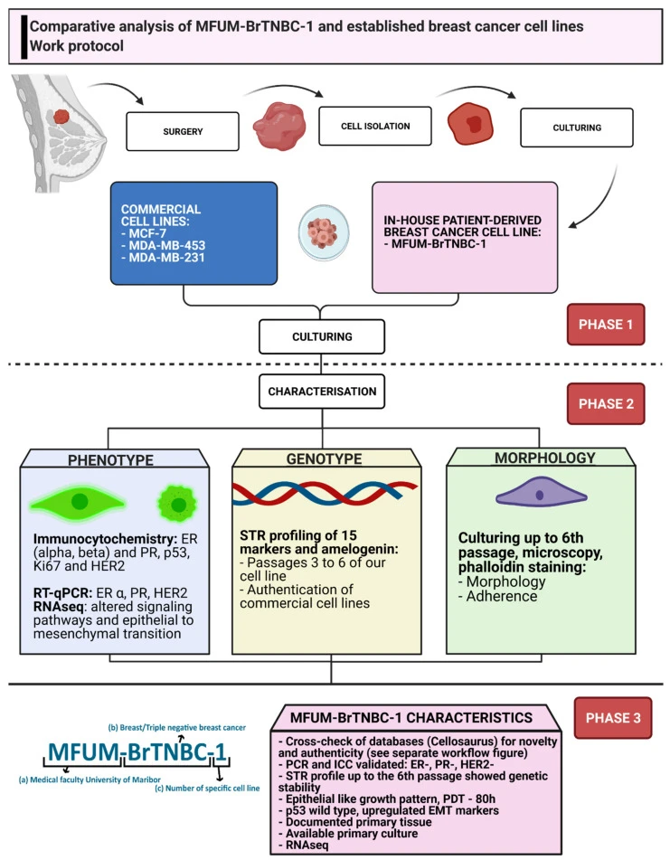 Skok K, et al. (incl. Maver U). MFUM-BrTNBC-1, a newly established patient-derived triple-negative breast cancer cell line. Cells, 2021.