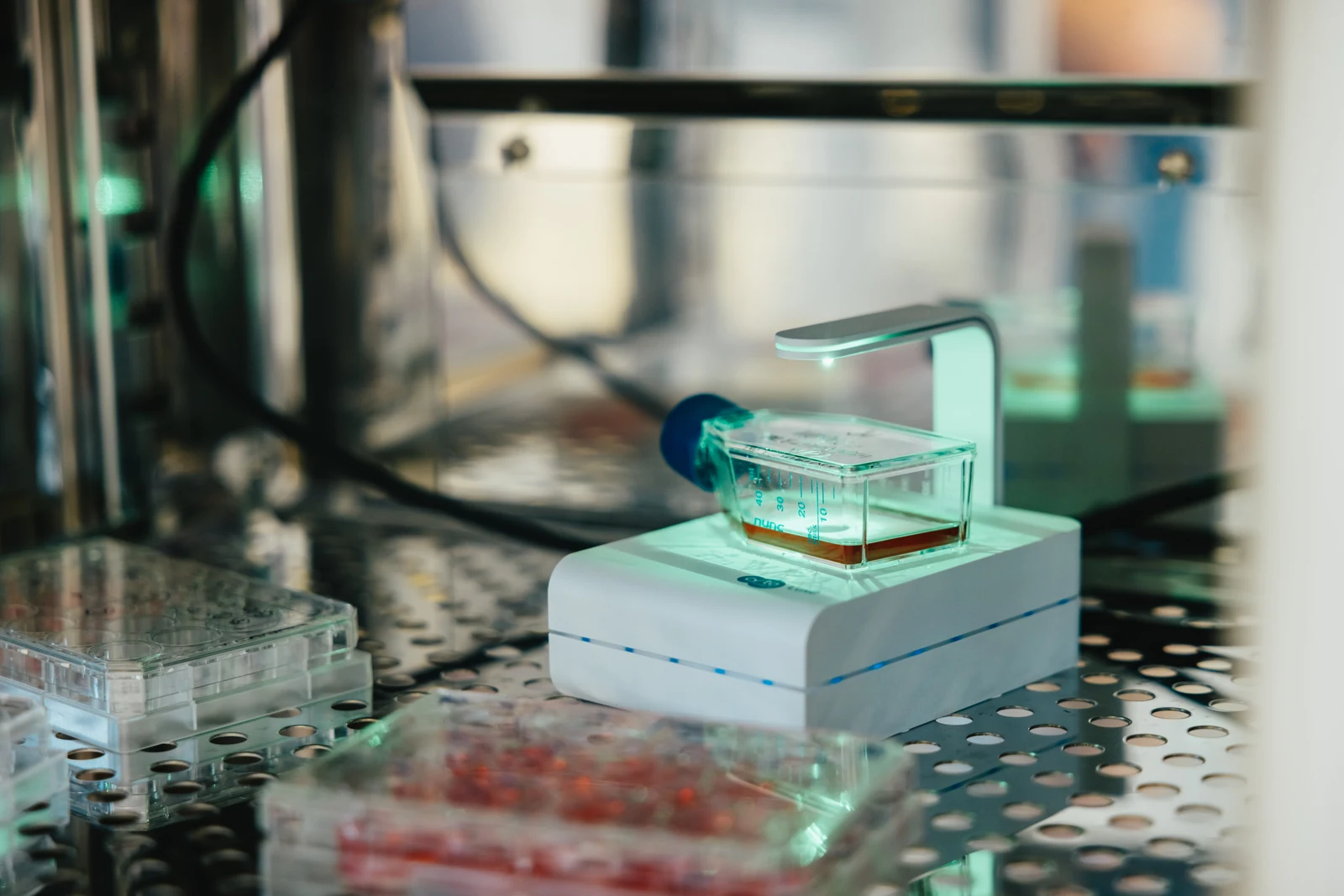 Tumor cell cultures in the EndoVia laboratory