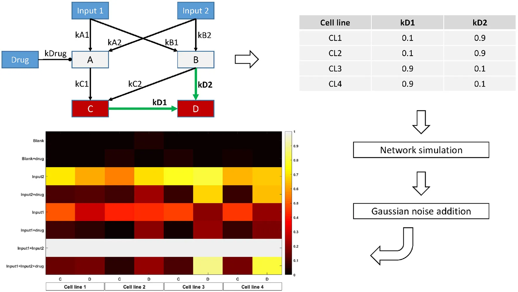 Network model showing cell-line-specific signaling pathways